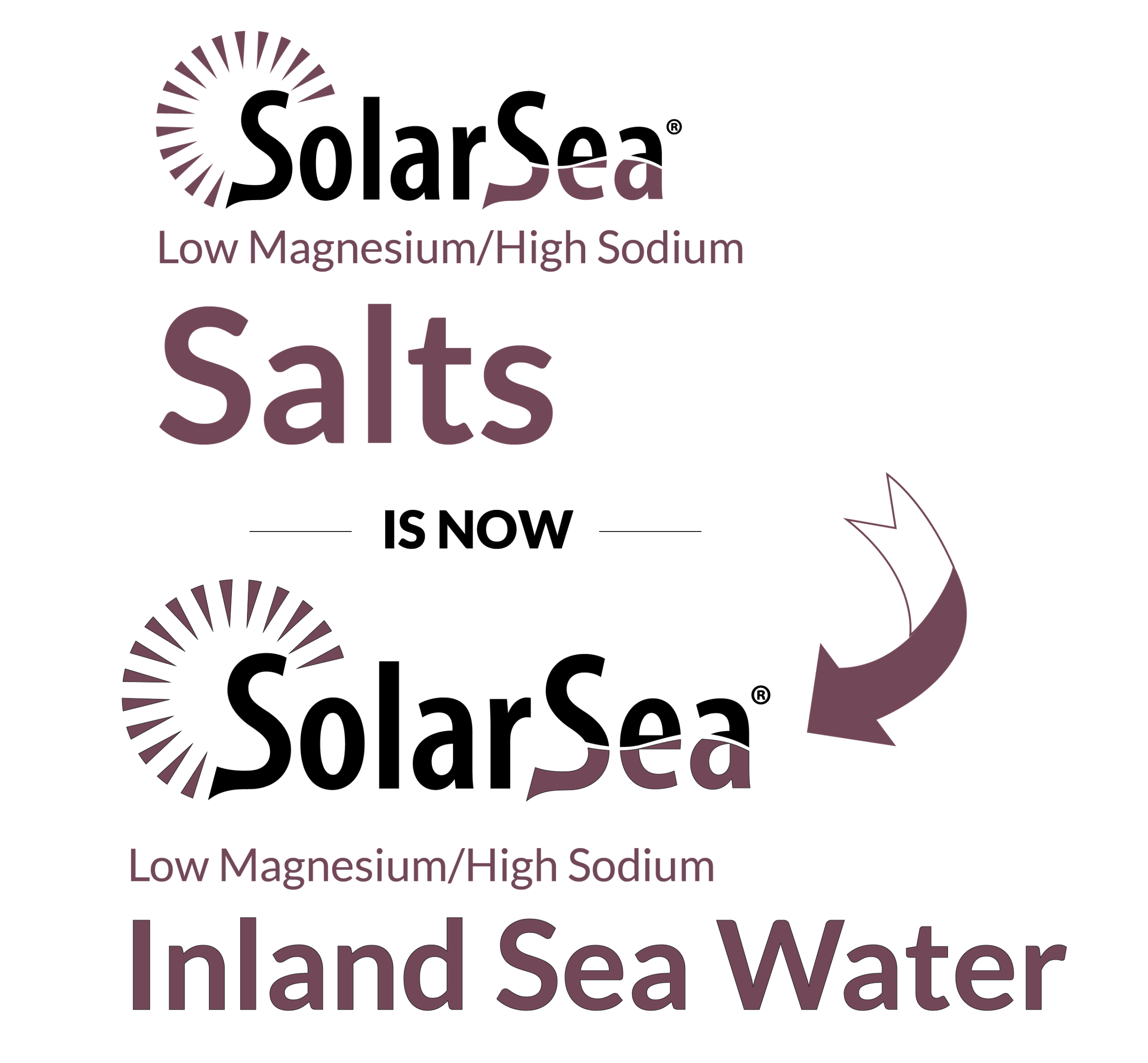 soloarsea-salts-now-inland-sea-water SolarSea High Magnesium